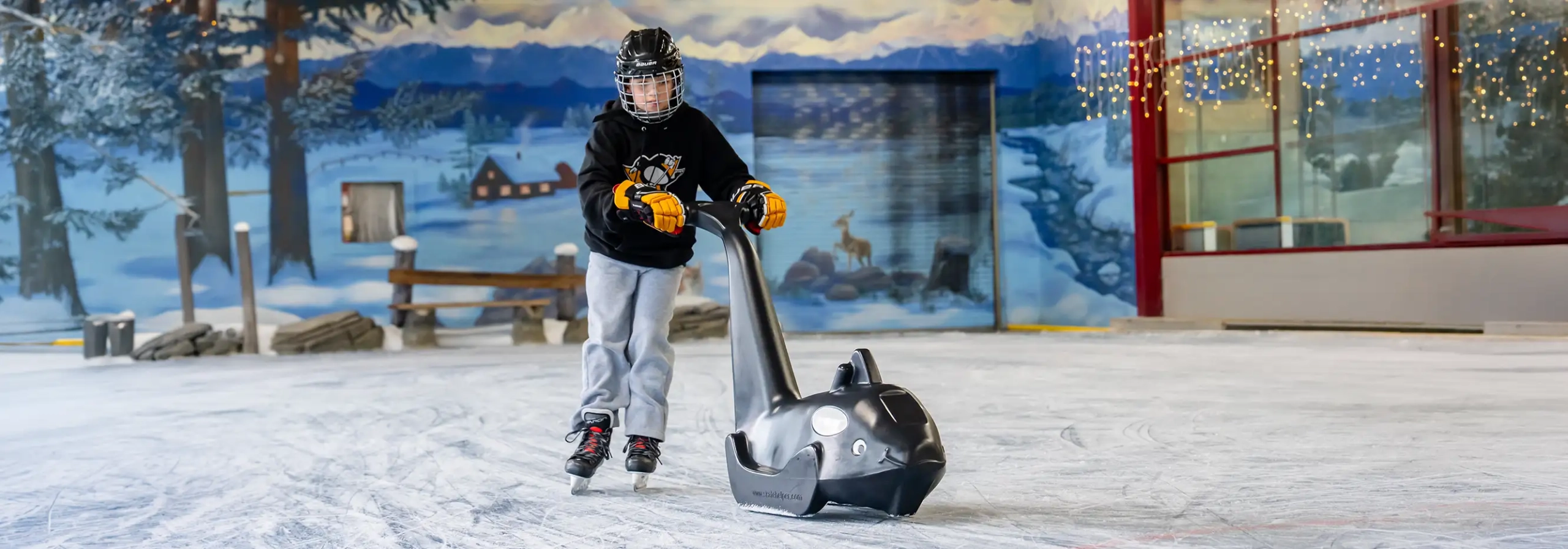 Orca Skate Helper